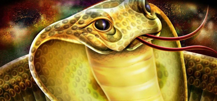 뱀과 뱀 : 황도대 연합의 호환성